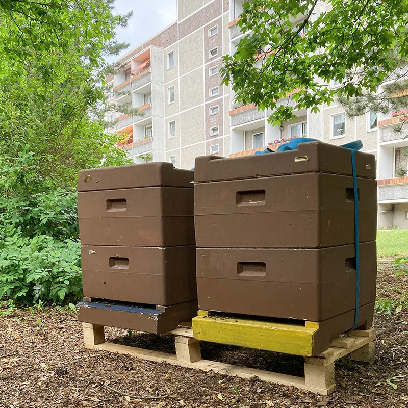 Bienenbeuten im Hof des HWB-Seniorenwohnhauses Berliner Straße