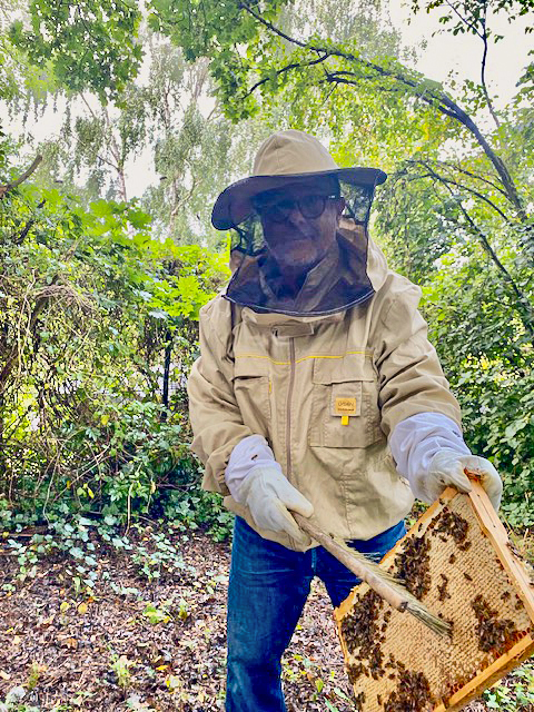 Die Honigwaben sind in dieser Saison nicht so gut gefüllt.